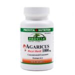Agaricus Blazei Murill 1000mg 90capsule PROVITA NUTRITION