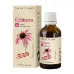 Echinacea tinctura 50ml fara alcool DACIA PLANT