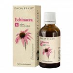 Echinacea tinctura 50ml DACIA PLANT