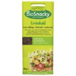 Seminte de kale pentru germinat