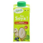 SMANTANA VEGETALA SOIA BIO 200ml SOJADE