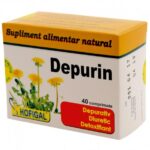 Depurin 40comprimate Hofigal
