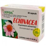 Echinacea extract concentrat 40capsule Hofigal